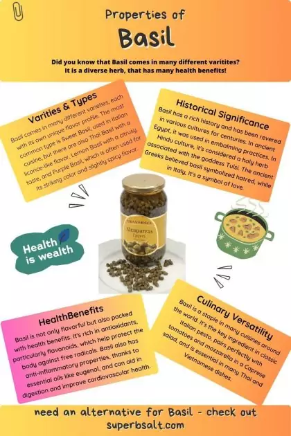 Properties of Basil infographic