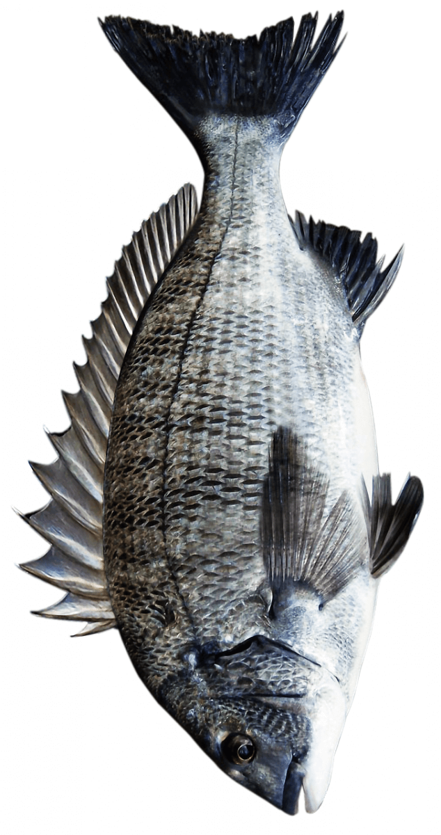 Seabream as a substitute for sea bass.