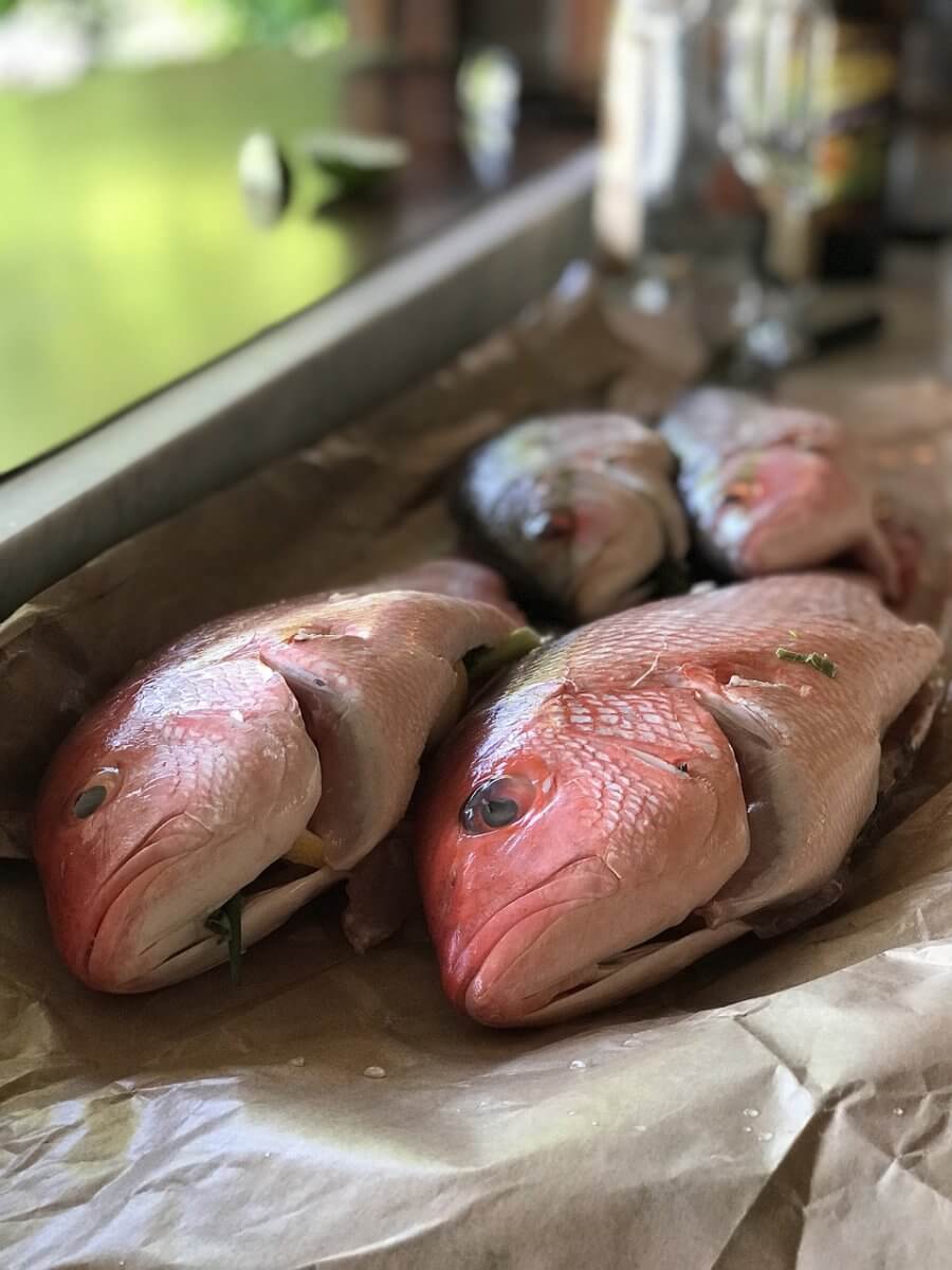 Red Snapper as a substitute for sea bass.