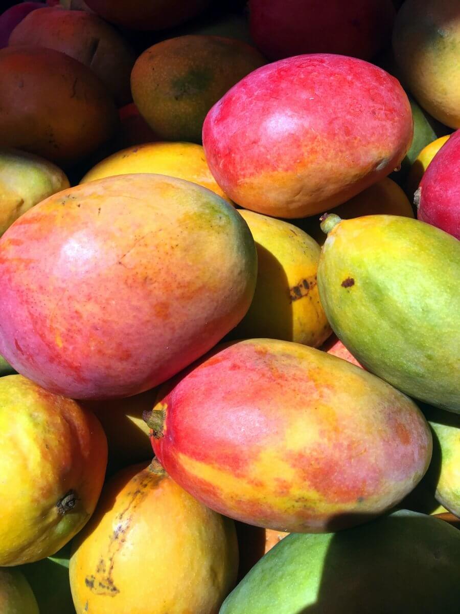 Mango as a substitute for grapefruit.