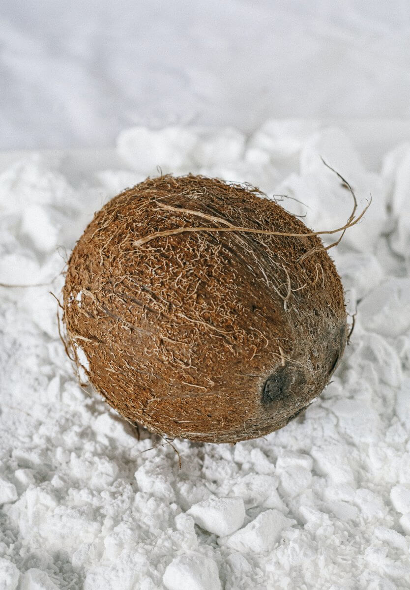Coconut powder as a substitute for single cream.