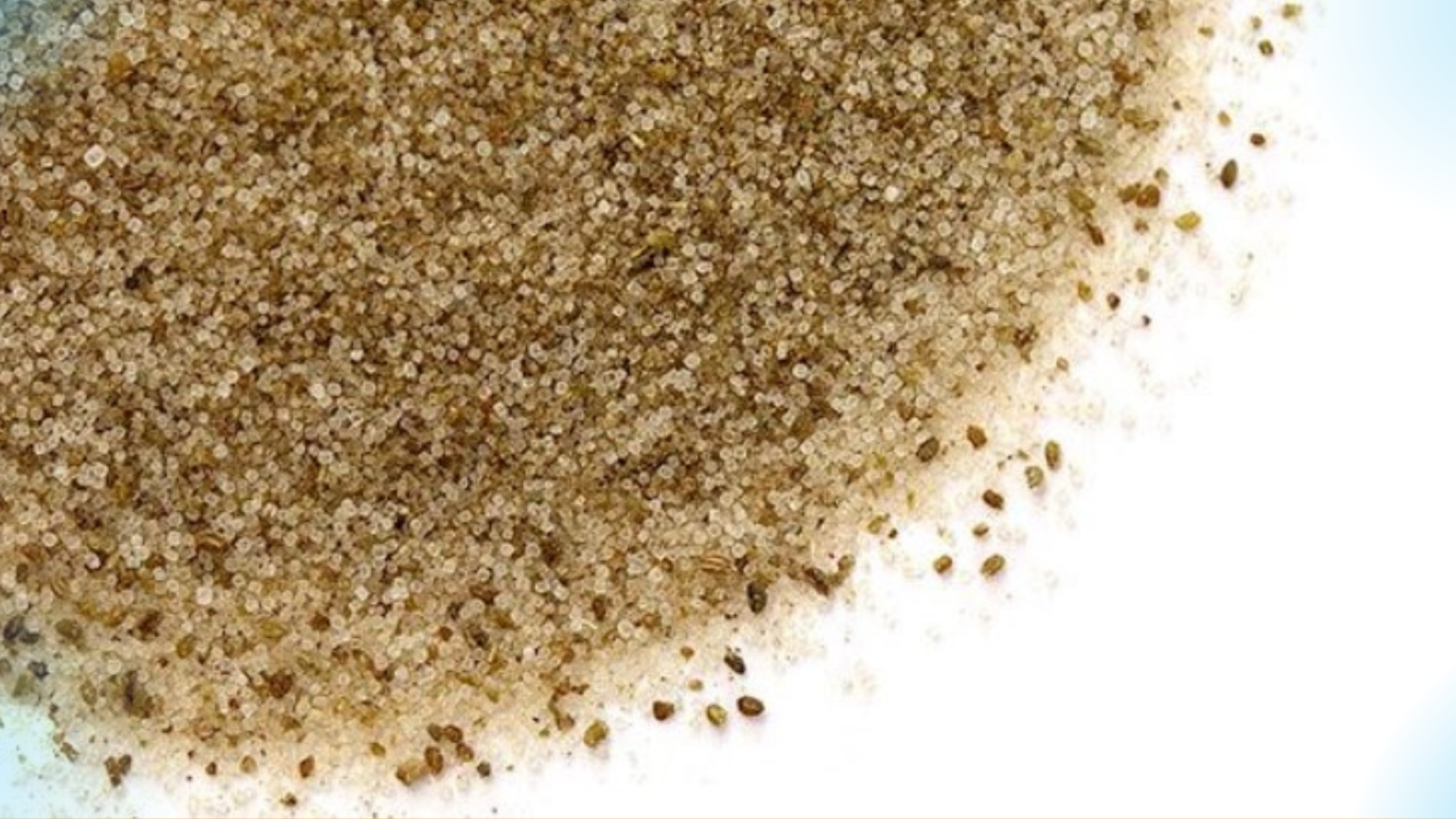 Celery Salt A Secret Ingredient to Liven Your Dishes Superb Salt