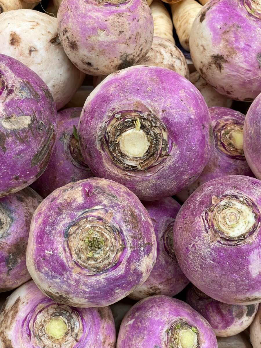 Turnips as a substitute for beet.