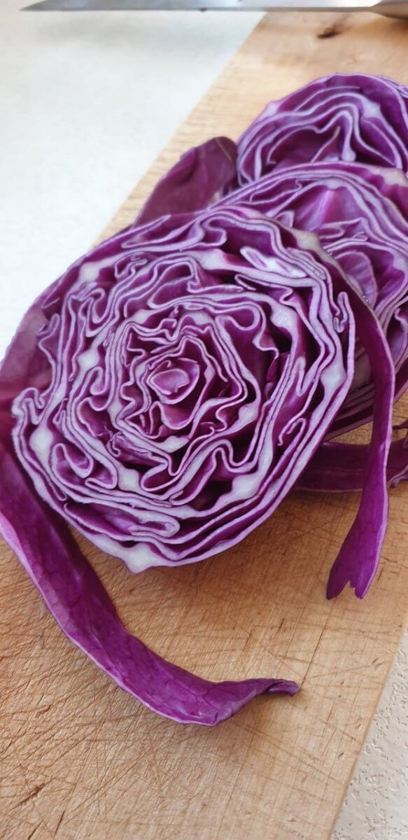 Red cabbage as a substitute for beet.