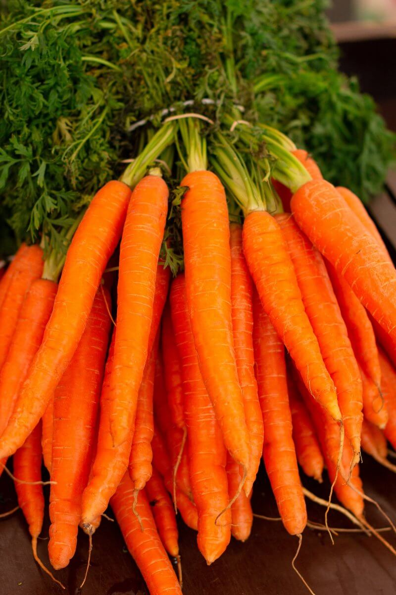 Carrots as a substitute for beet.