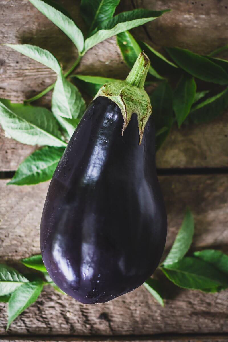 Eggplant - Aubergine