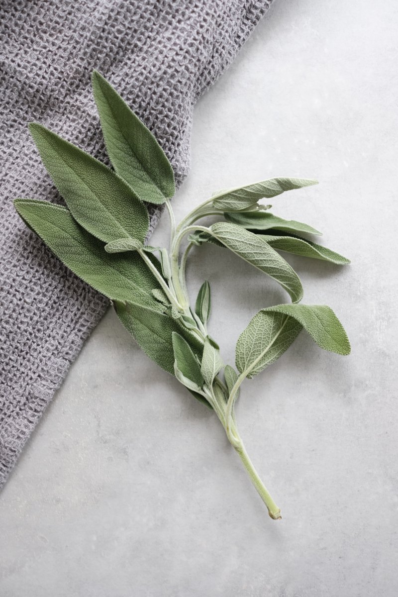 Sage as a substitute for savory.