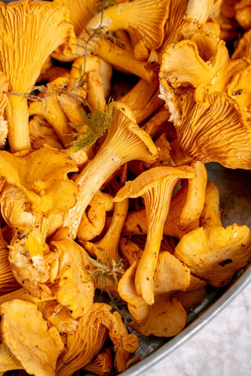 Chantrelle mushrooms as a substitute for shiitake mushrooms.