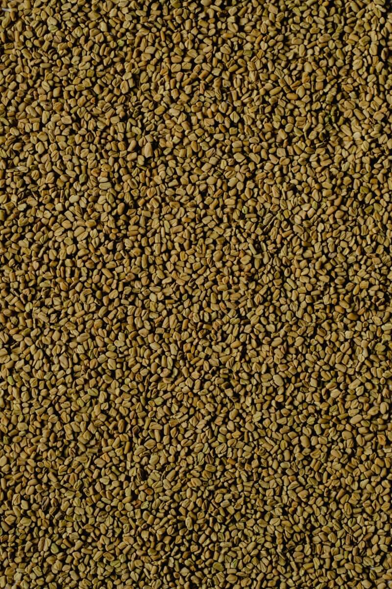 Fenugreek seeds as a substitute for kasoori methi.