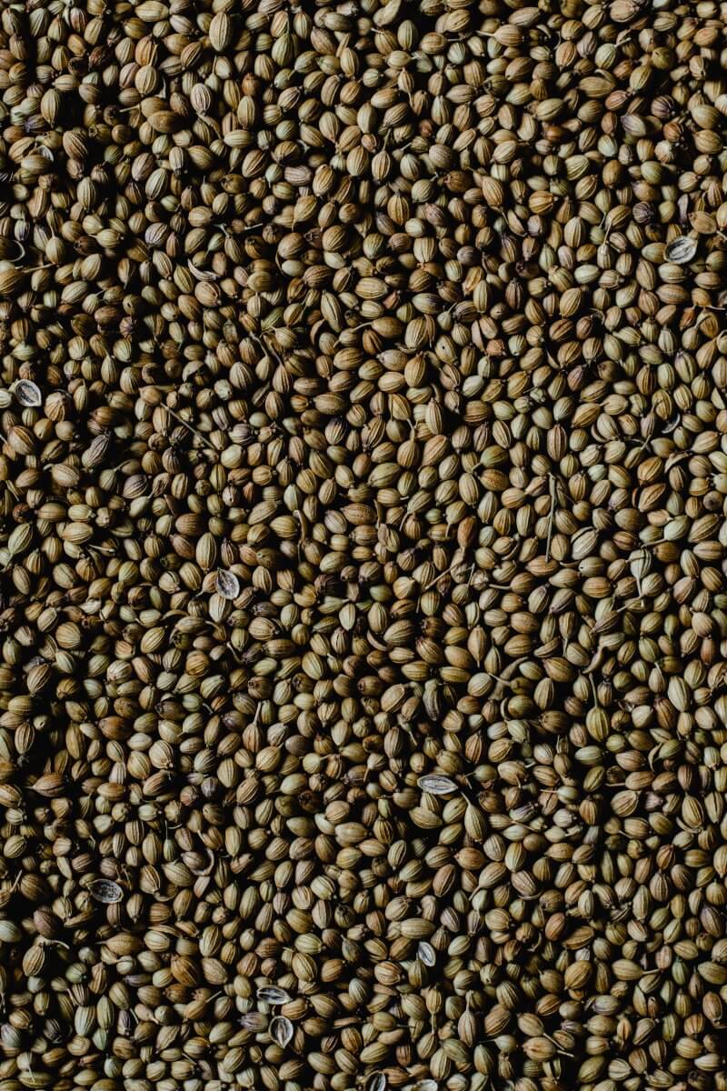 Coriander seeds as a black pepper substitute.