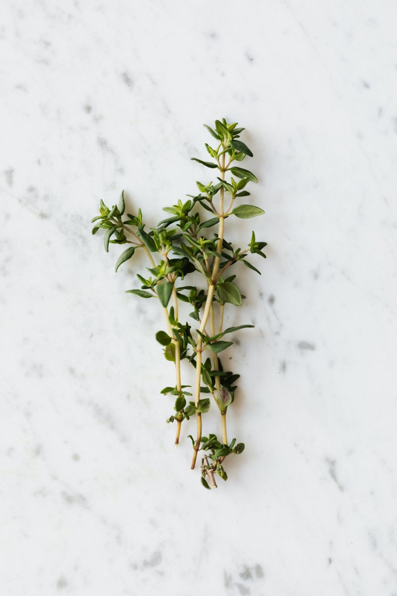 Thyme as a substitute for mint.
