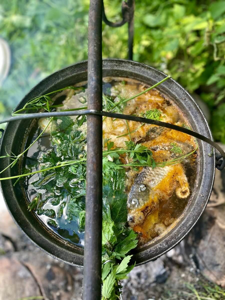 Fish stock as a substitute for shrimp stock.