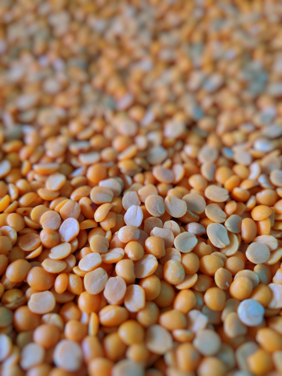 Brown lentils as a substitute for red lentils.