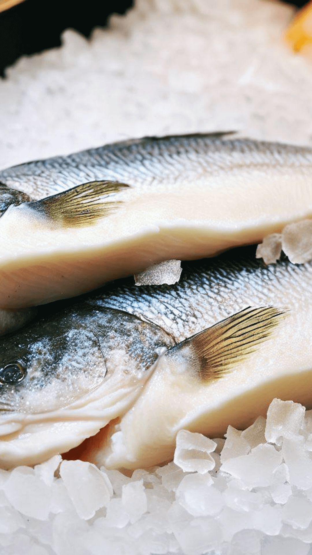 6 Best Halibut Substitutes Superb Salt