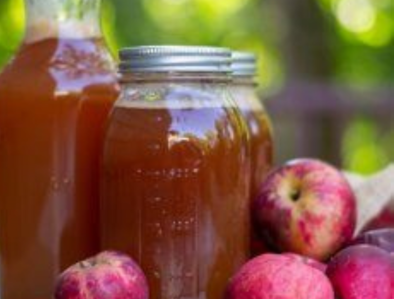10 Best Apple Cider substitutes - Superb Salt
