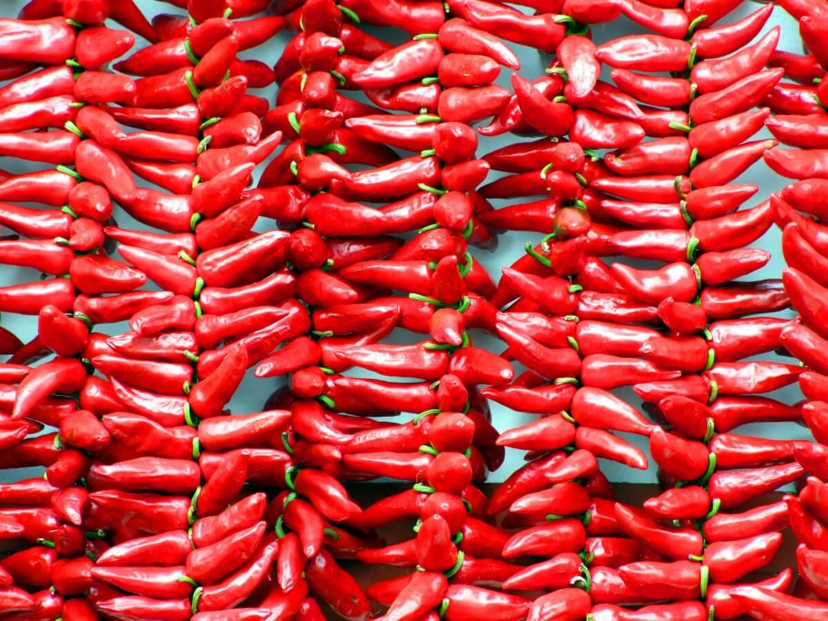 7 Best Calabrian Chili Substitutes: Spice up your life! - Superb Salt