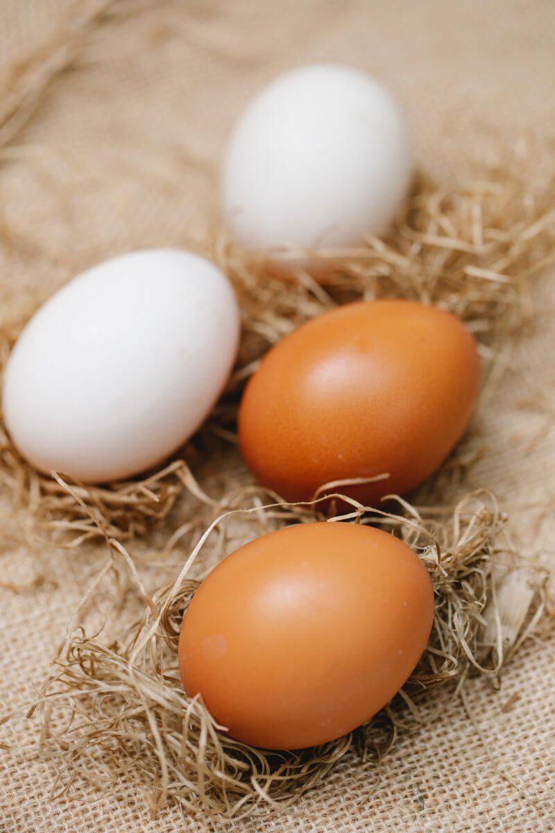 Eggs as a substitute for chia seeds.