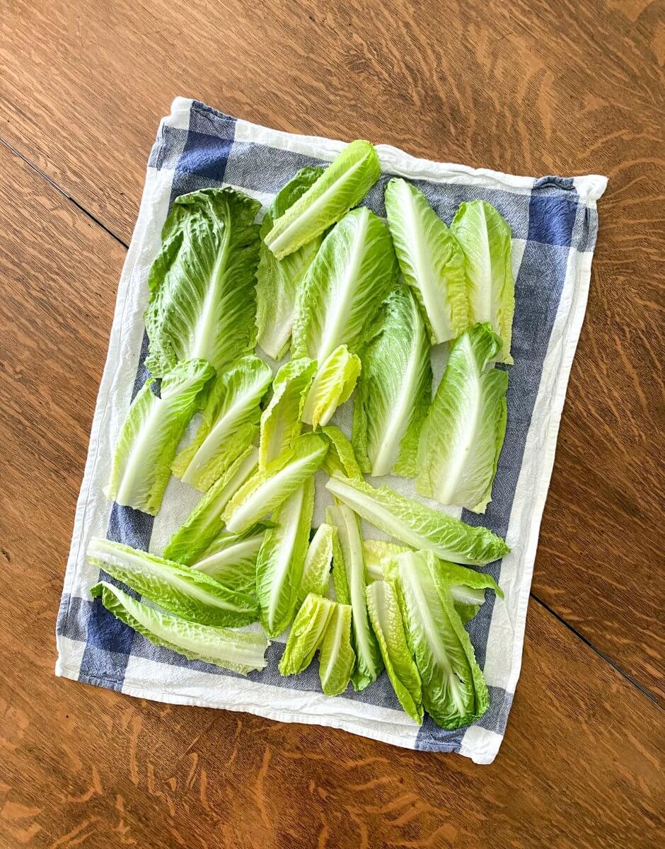 Romaine lettuce as a radicchio substitute.