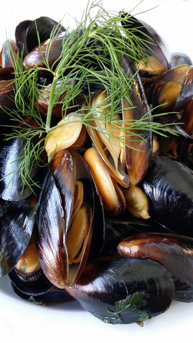 Mussels.