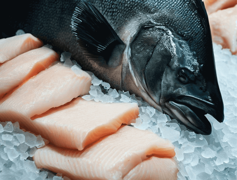 Halibut fish fillets