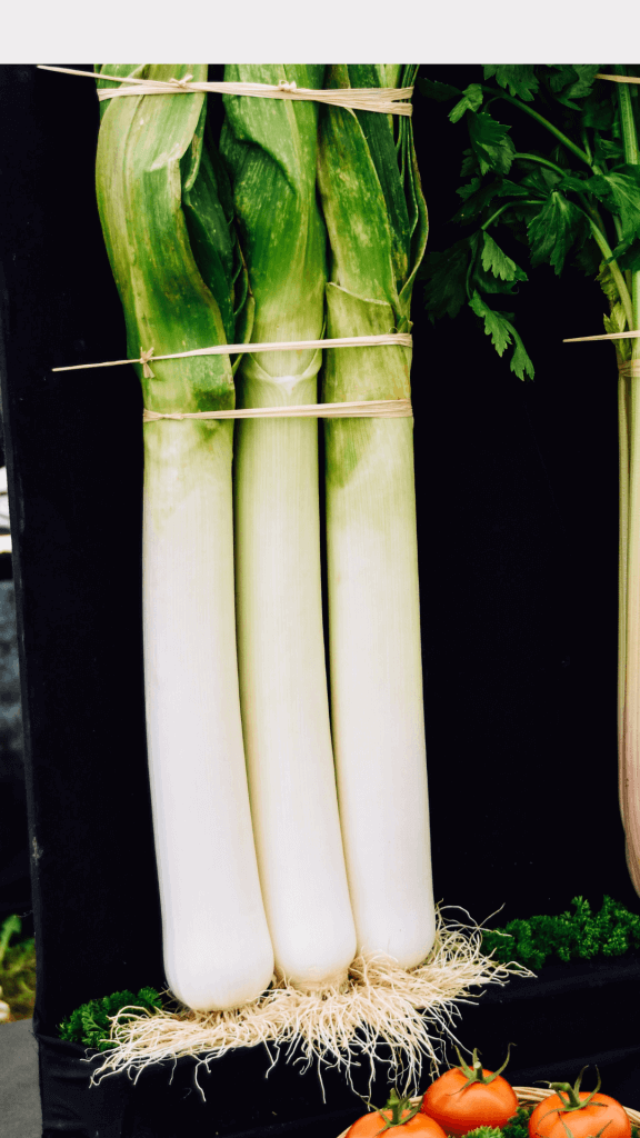Leeks as a substitute for spring onions.