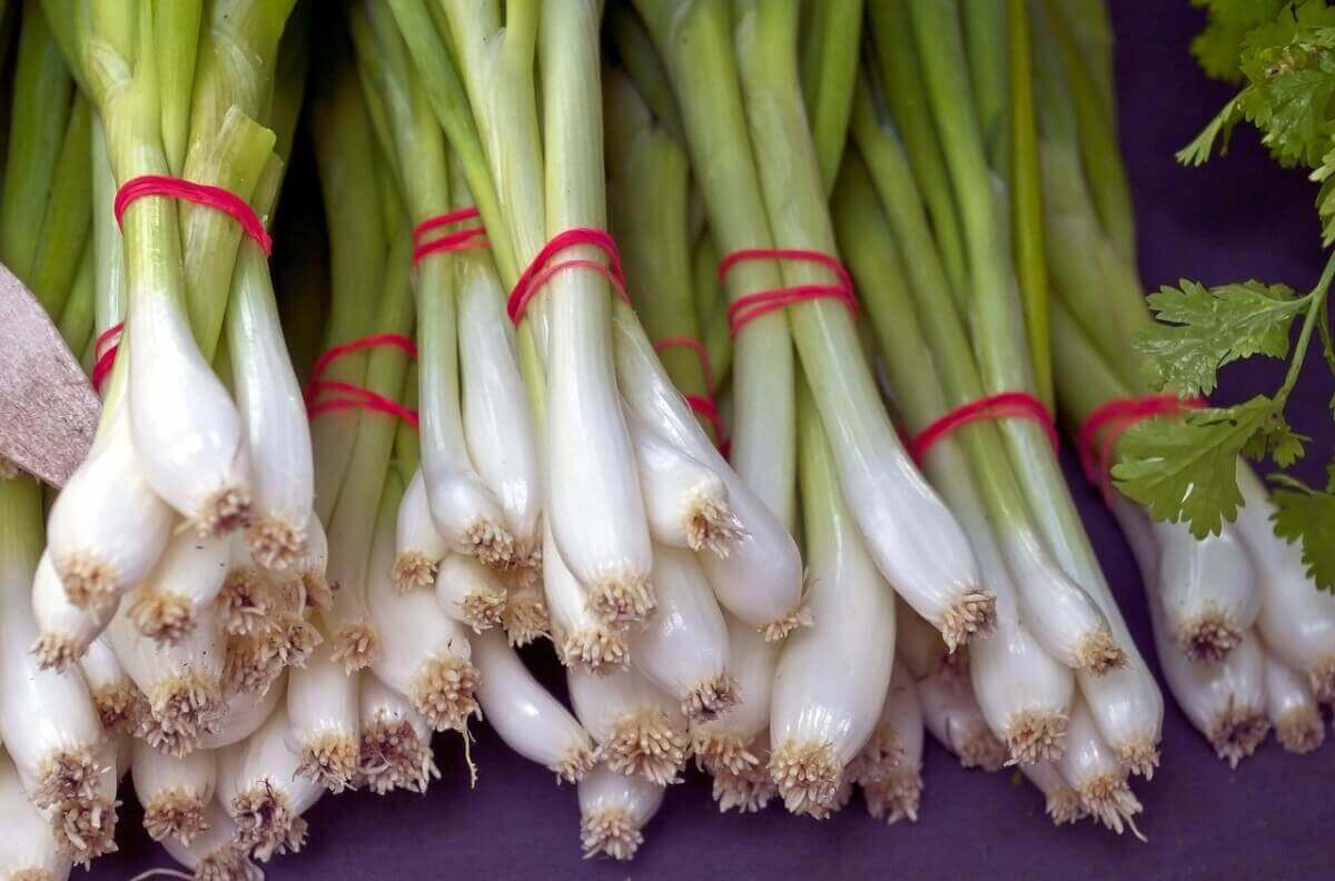 Spring onions