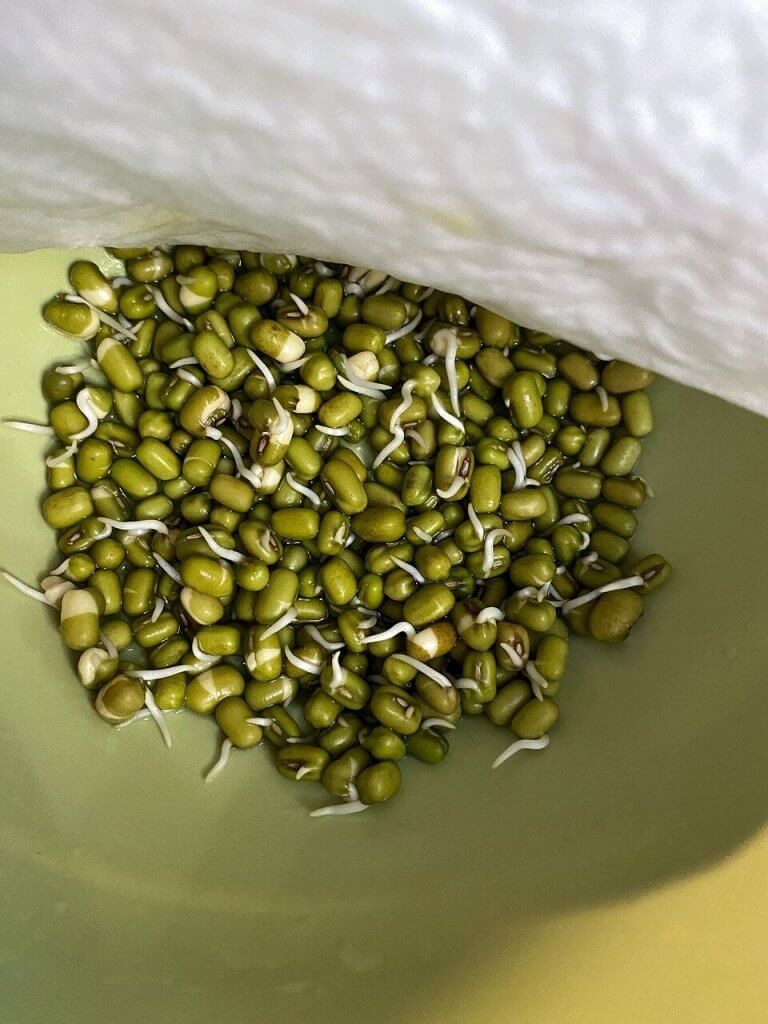 Mung beans as a substitute for kidney beans.