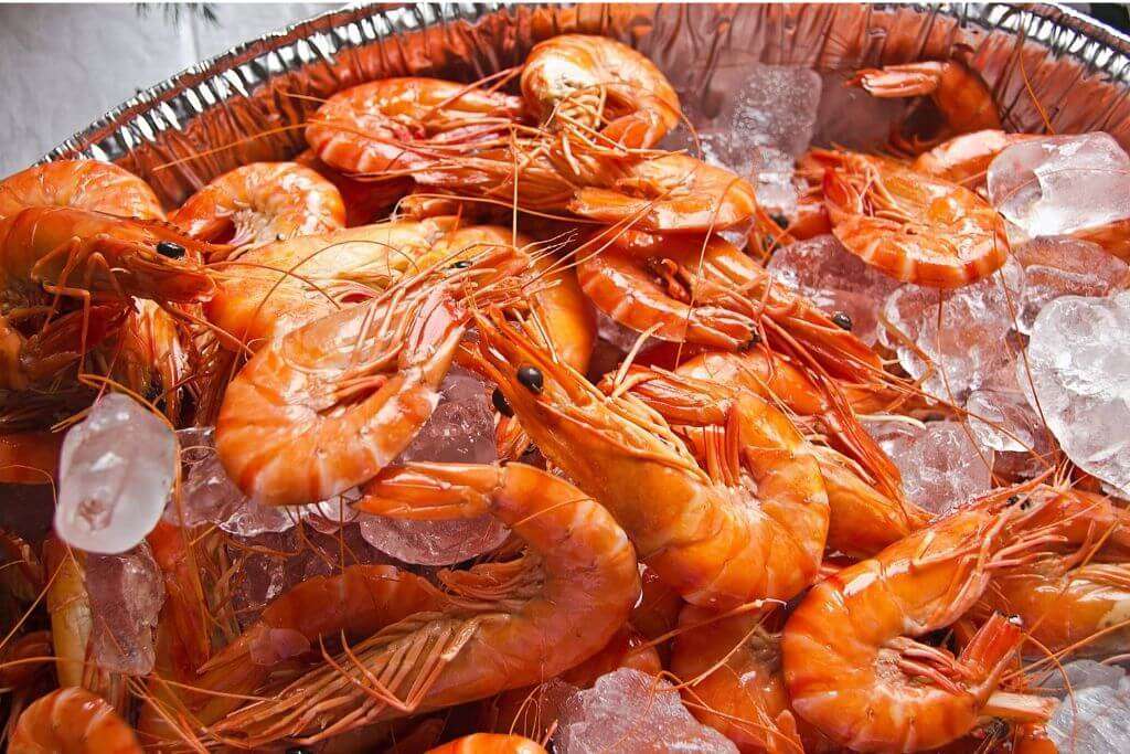 Shrimp