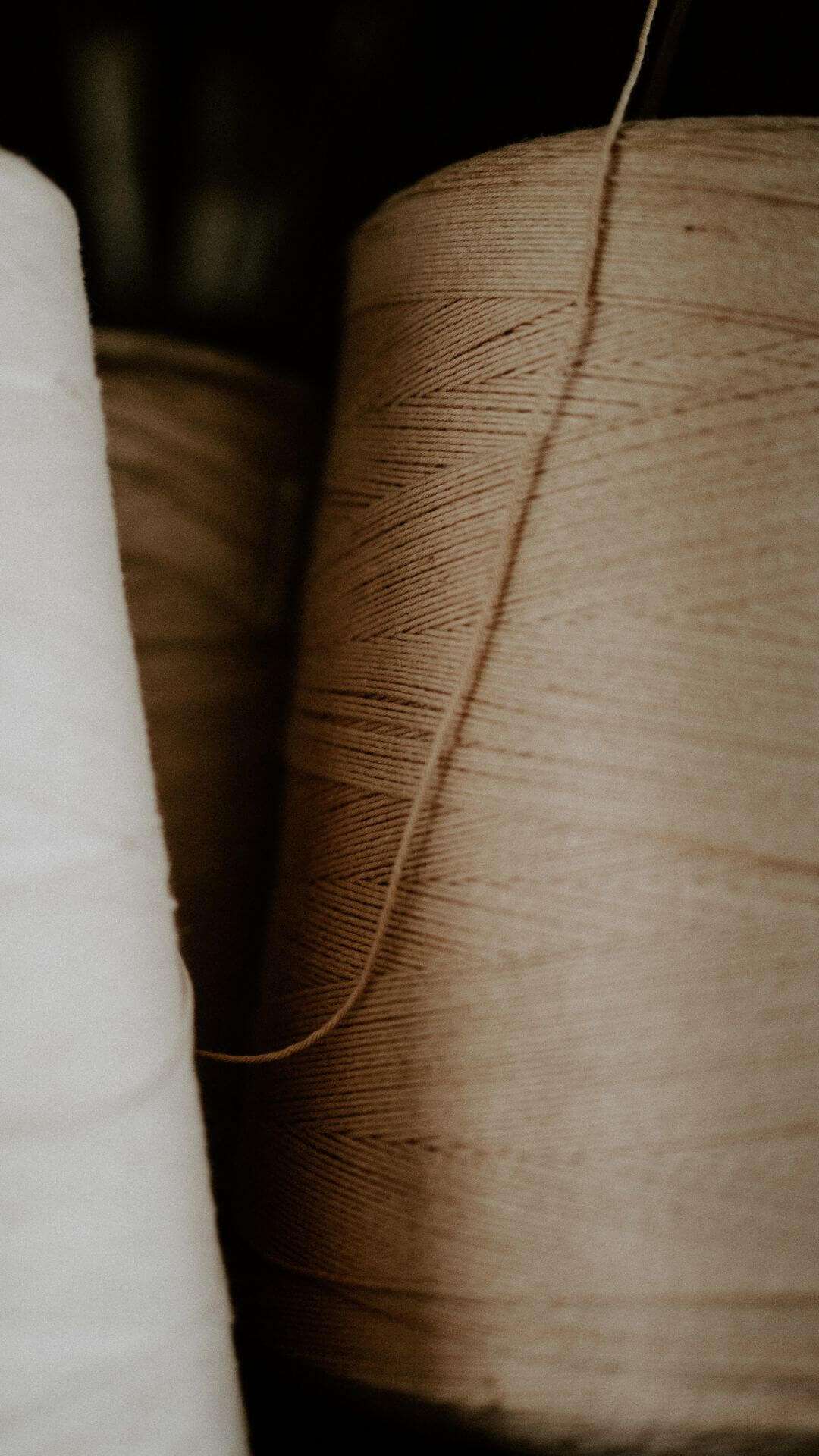 Kitcen Thread 8 Kitchen Twine Substitutes: Tying the knot - Superb Salt