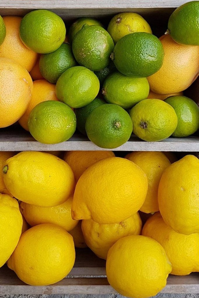Lemon & Limes as a substitute for capers.