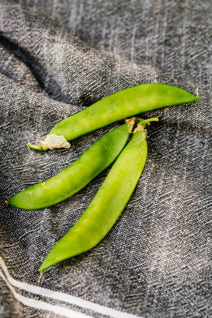 Snow Peas as a substitute to fava beans.