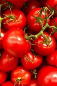 Tomatoes