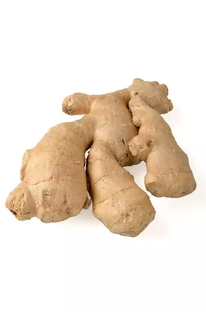 Ginger