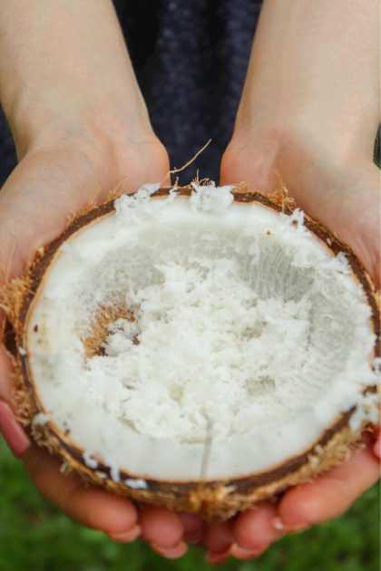 Shredded coconut as a substitute for oatmeal in baking.